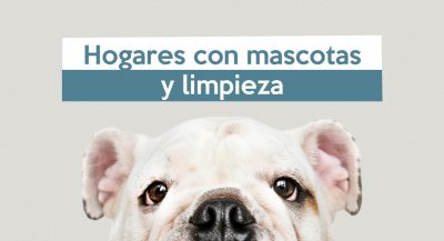 limpieza-hogares-con-mascota